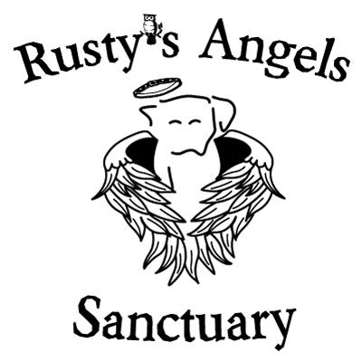 logo.jpg